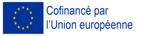 Logo FSE