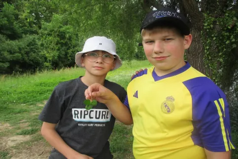 Promenade impression