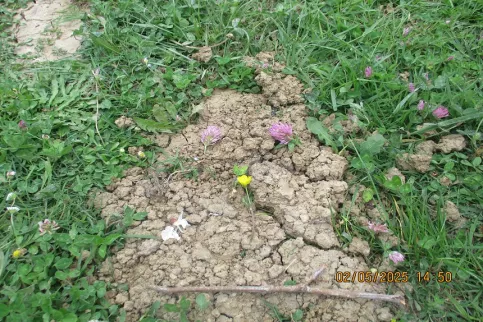 Promenade impression