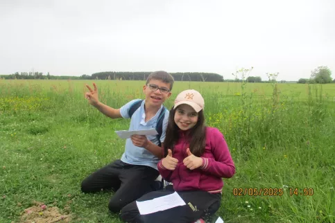 Promenade impression